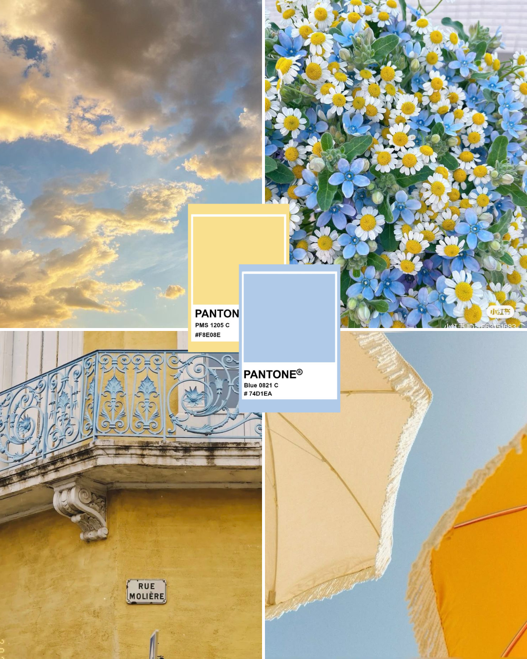 Drop - blue & yellow